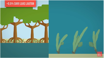 Lamun? tumbuhan apa itu? *Explained with animation*