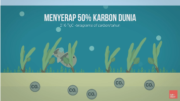 Lamun? tumbuhan apa itu? *Explained with animation*