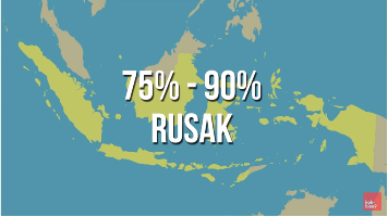 Lamun? tumbuhan apa itu? *Explained with animation*