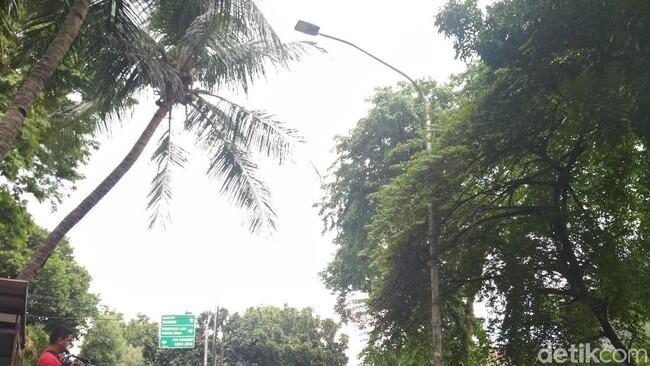 Klarifikasi PLN: yang Ditabrak Novanto Tiang Lampu, Bukan Tiang Listrik