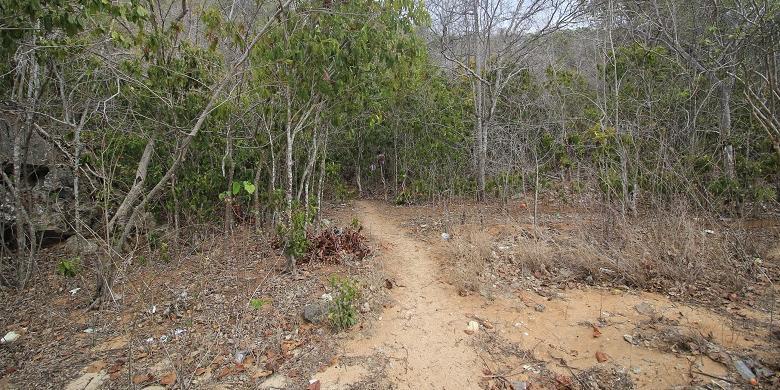 Indahnya gua rangko di manggarai, pulau flores