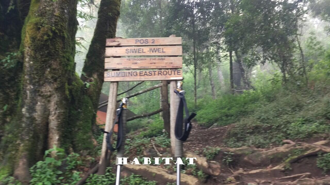 CAPTER Gn. SUMBING VIA BANARAN, Kec Tembarak - Temanggung