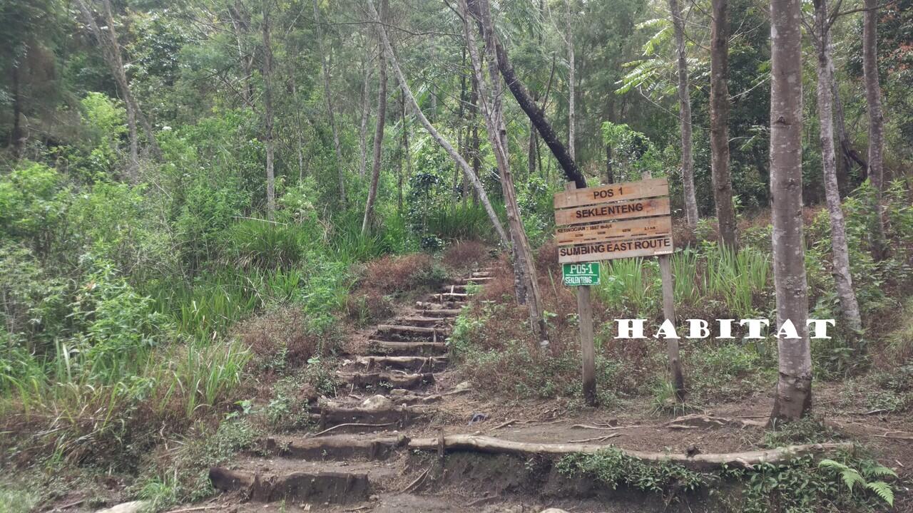CAPTER Gn. SUMBING VIA BANARAN, Kec Tembarak - Temanggung