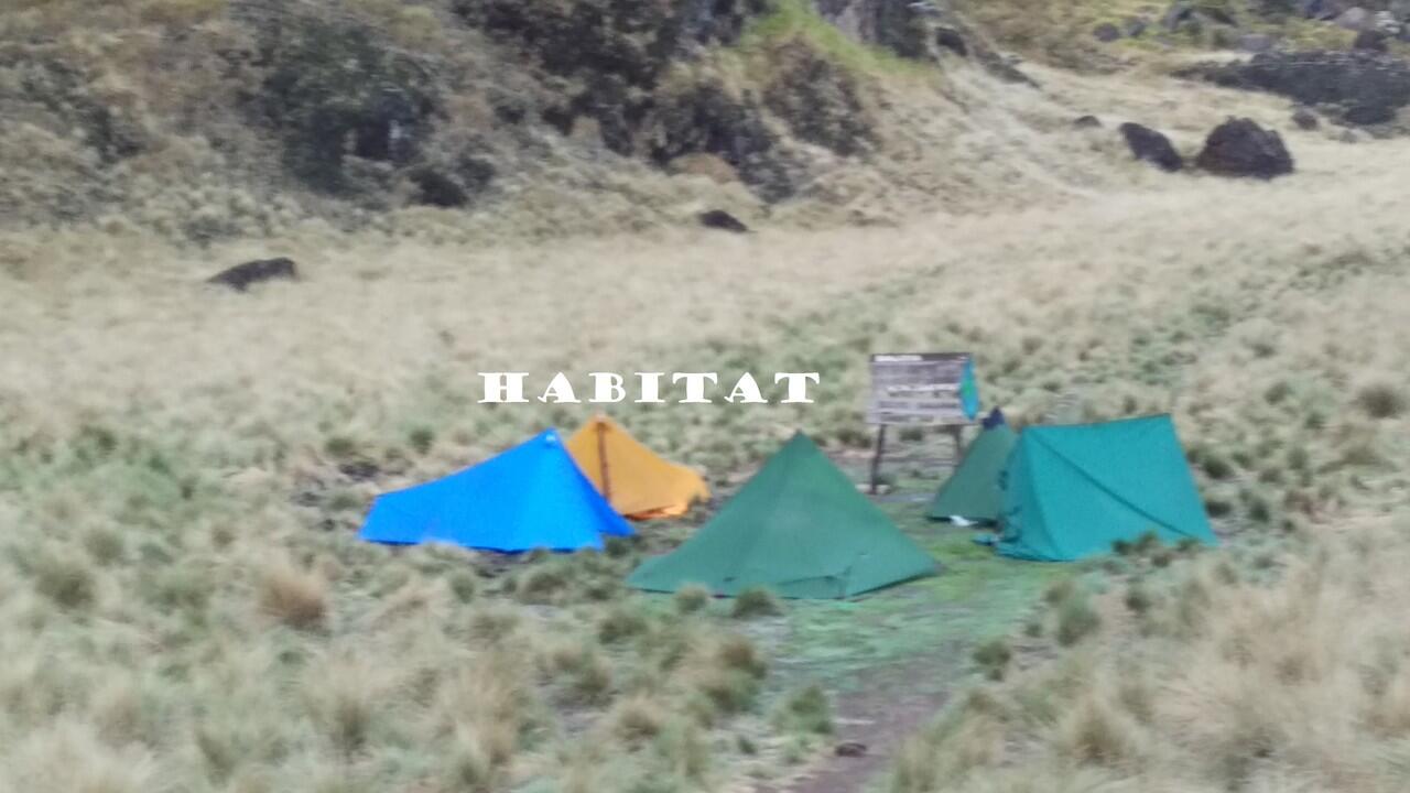 CAPTER Gn. SUMBING VIA BANARAN, Kec Tembarak - Temanggung