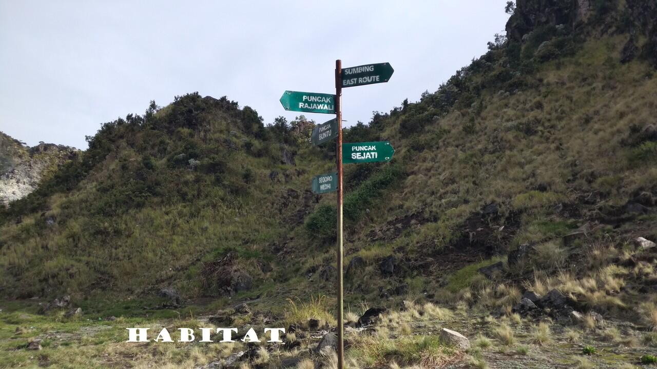 CAPTER Gn. SUMBING VIA BANARAN, Kec Tembarak - Temanggung