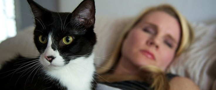 Mengapa Sih Kucing Suka Tidur Melulu?