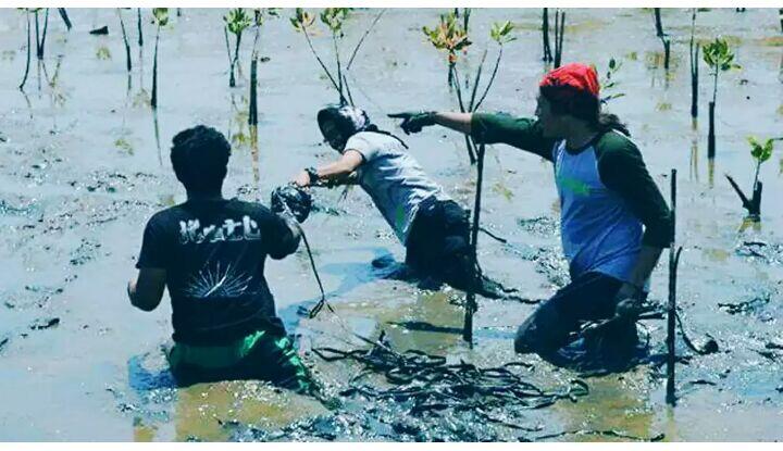 Hari Pohon Sedunia, Mahasiswa Makassar Tanam Mangrove di Pantai