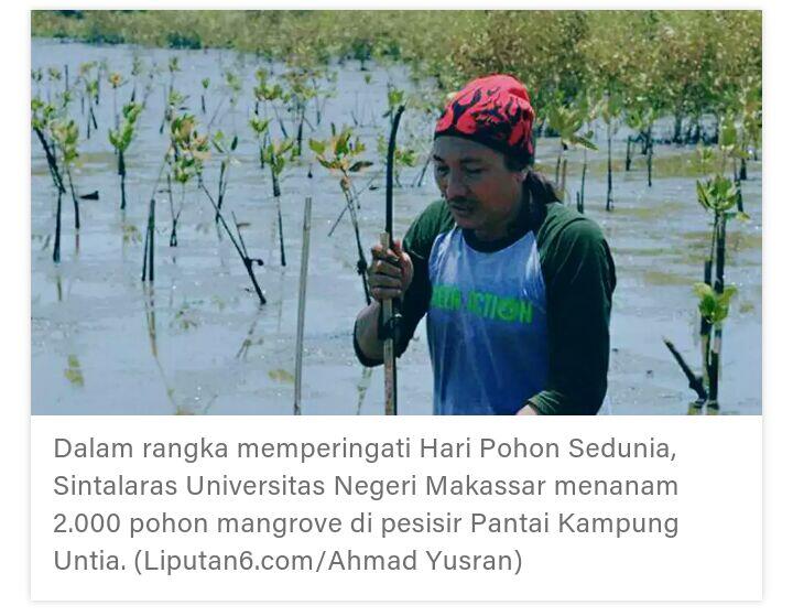 Hari Pohon Sedunia, Mahasiswa Makassar Tanam Mangrove di Pantai