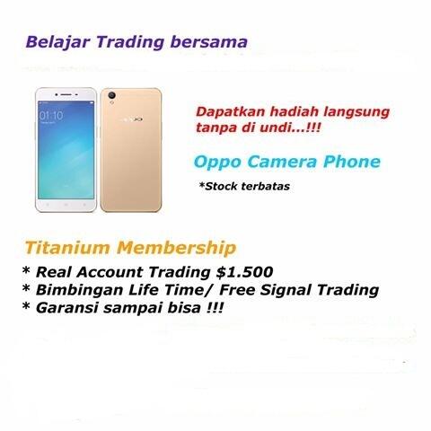 Program Edukasi dan Permodalan forex Trading
