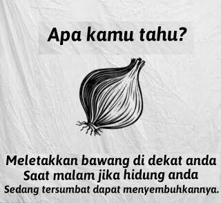 Fakta unik-sepele namun sangat bermanfaat.