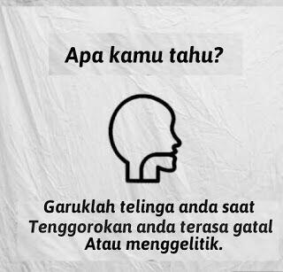Fakta unik-sepele namun sangat bermanfaat.
