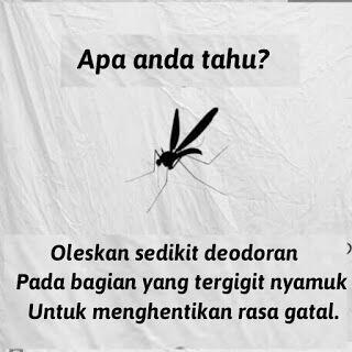 Fakta unik-sepele namun sangat bermanfaat.