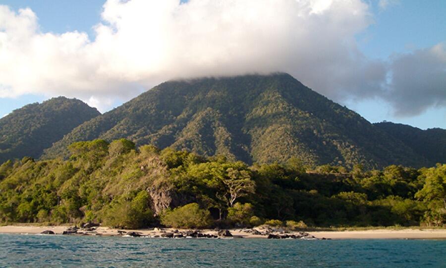 Situs Batu Megalitik Flores Sudah Dikenal di Eropa