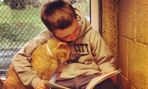 6 Tanda Ini Menunjukkan Kucing Menyayangimu