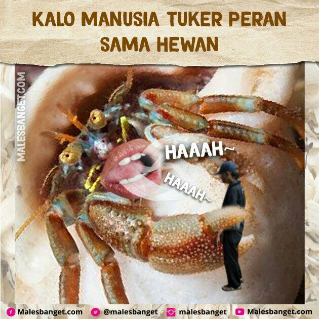 Jangan Suka Nyakitin Hewan! Bayangin Kalo Peran Kamu Dan Hewan Di Tuker Kayak Gini