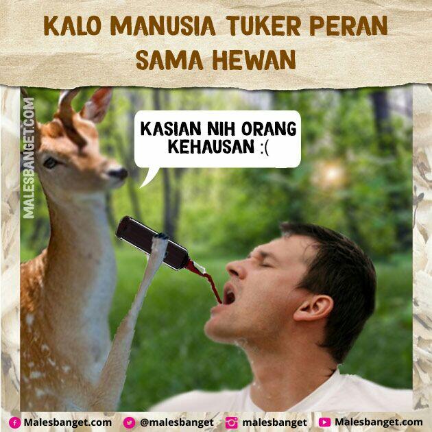 Jangan Suka Nyakitin Hewan! Bayangin Kalo Peran Kamu Dan Hewan Di Tuker Kayak Gini