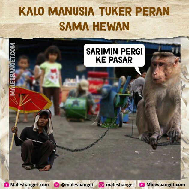 Jangan Suka Nyakitin Hewan! Bayangin Kalo Peran Kamu Dan Hewan Di Tuker Kayak Gini