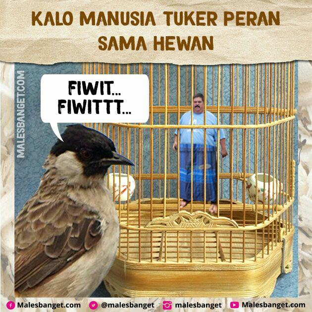 Jangan Suka Nyakitin Hewan! Bayangin Kalo Peran Kamu Dan Hewan Di Tuker Kayak Gini