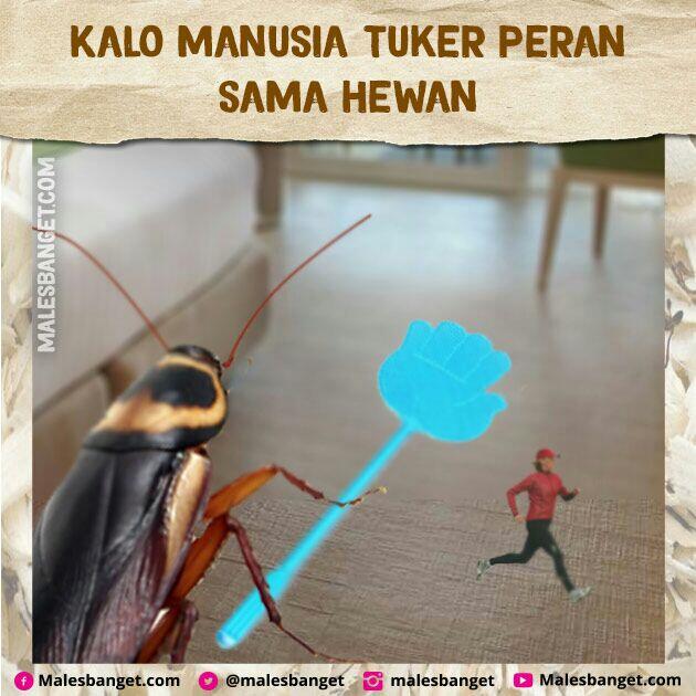 Jangan Suka Nyakitin Hewan! Bayangin Kalo Peran Kamu Dan Hewan Di Tuker Kayak Gini