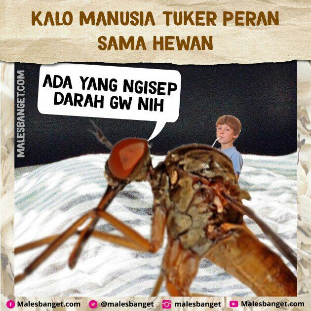 Jangan Suka Nyakitin Hewan! Bayangin Kalo Peran Kamu Dan Hewan Di Tuker Kayak Gini