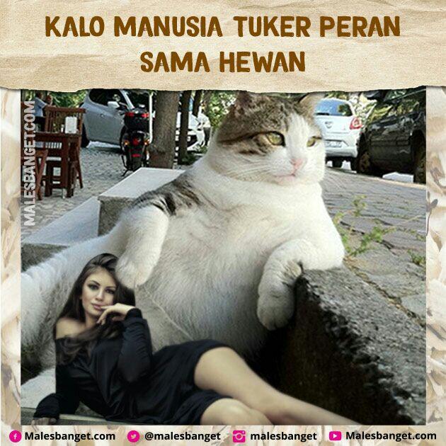 Jangan Suka Nyakitin Hewan! Bayangin Kalo Peran Kamu Dan Hewan Di Tuker Kayak Gini
