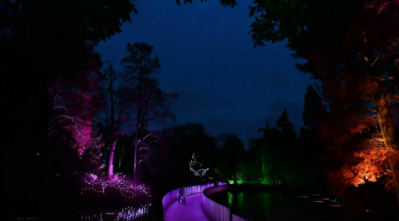 Menikmati Malam  Penuh Warna di Kew Gardens London KASKUS