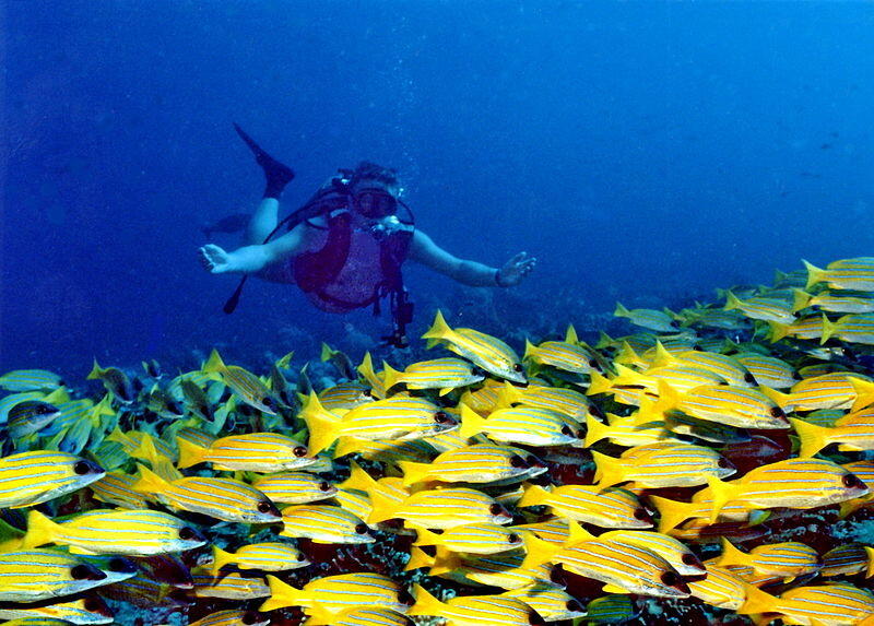 12 Tempat Wisata di Maldives Maladewa