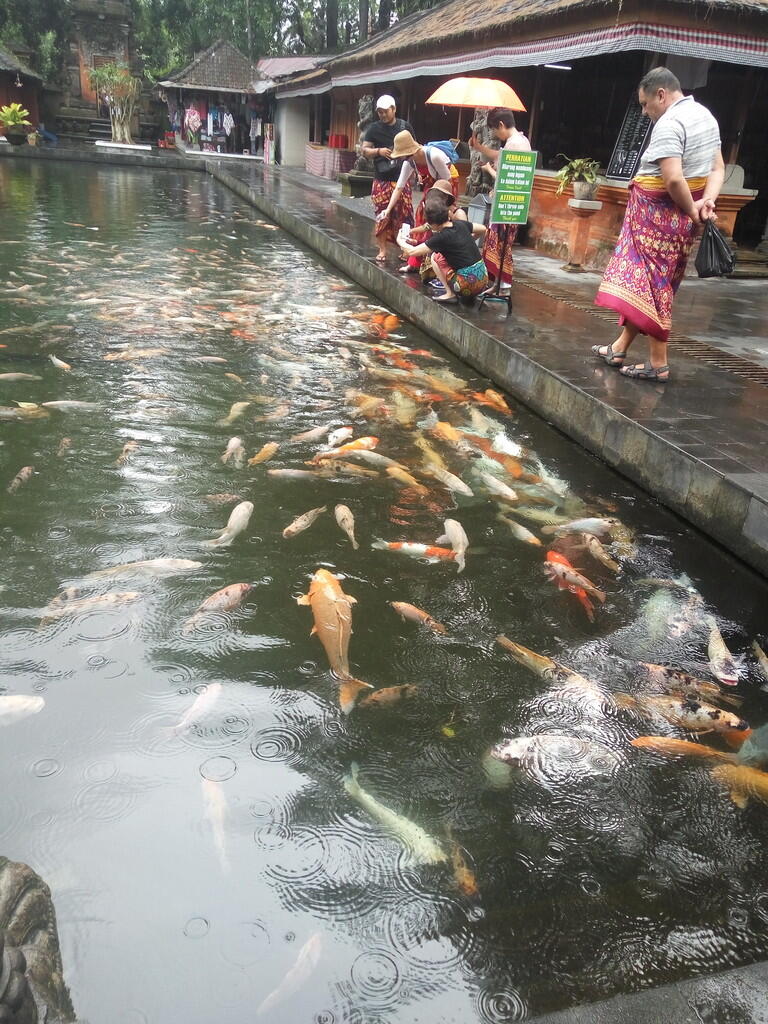 Liburan Hemat Ke Bali Bareng Keluarga Kecil Ane