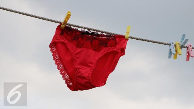 Suami Sampai Pasang CCTV untuk Mengungkap Pencuri Celana Dalam Istri🔥