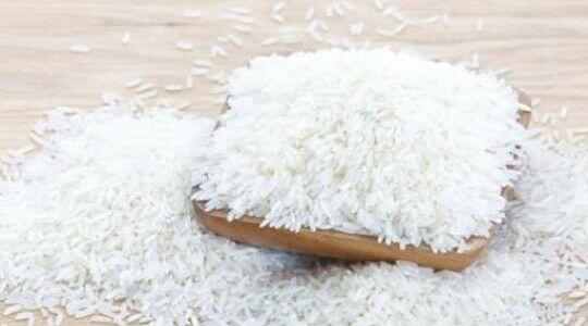 Apa yang perlu diketahui tentang Beras?