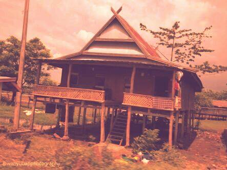 Elegi Rumah Panggung