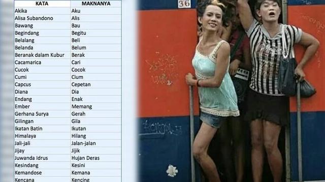 Bikin Ngakak, Inilah Deretan Istilah Banci yang Sulit Dipahami Masyarakat! 