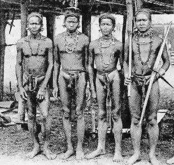 Foto langka dan jadul potret kehidupan Suku Dayak di Borneo, keren!