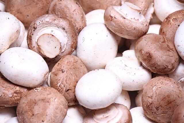 Mudah Lelah? Ini 10 Makanan Ampuh untuk Kembalikan Energi