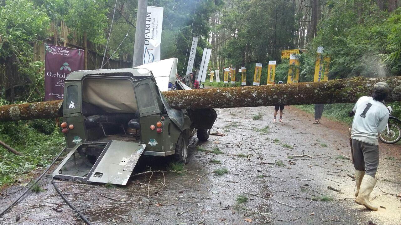 Lembang Di Terjang Badai, Pohon Menimpa Mobil 