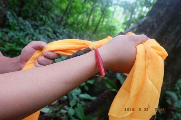 LILIS LAMIANG - PUSAKA DAYAK (FAKTA YANG TERUNGKAP)