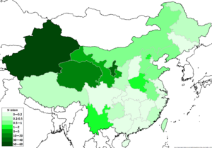 10 etnis muslim di cina