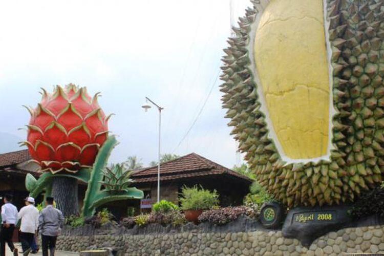 Di 4 Lokasi Ini Anda Bisa Langsung Makan Durian dari Pohonnya!
