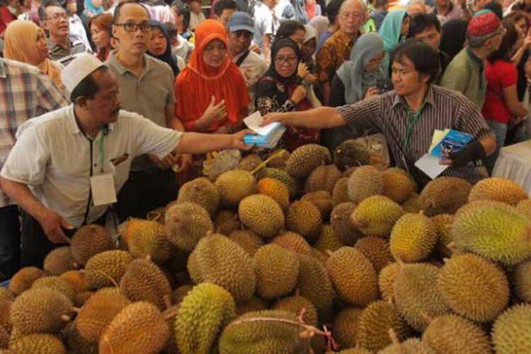Di 4 Lokasi Ini Anda Bisa Langsung Makan Durian dari Pohonnya!