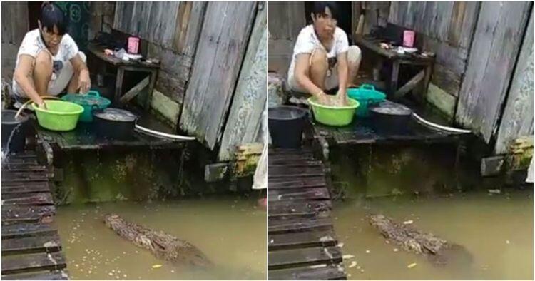 Viral video emak-emak santai nyuci ditemani buaya, gereget banget