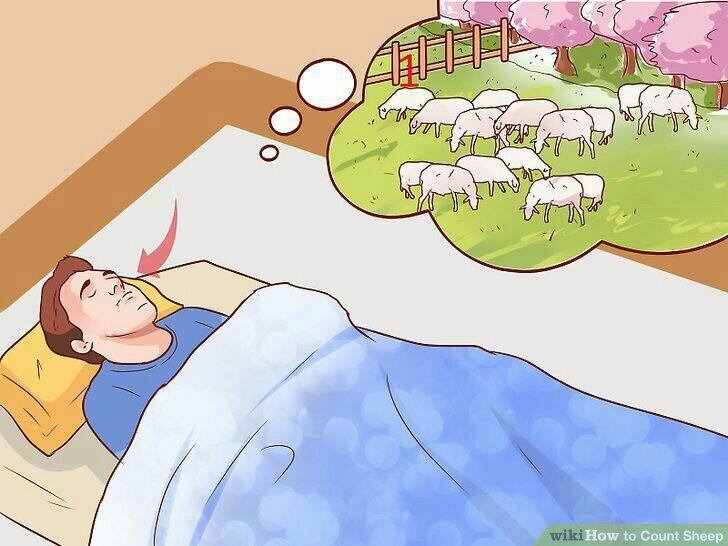 Tidur Dengan Menghitung Domba? Ini Penjelasannya GanSis!