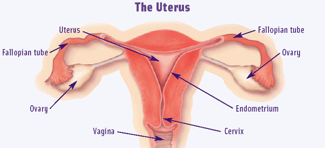 &#91;HBD2FORSIS&#93; Kenapa Sih Sista Mesti Peduli Tuberkulosis?