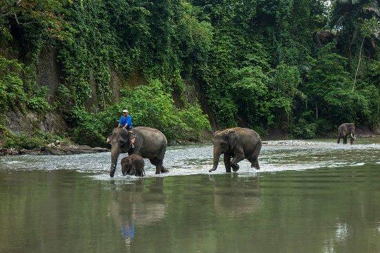 Enam Tempat Menakjubkan di Indonesia, tapi Bukan Bali