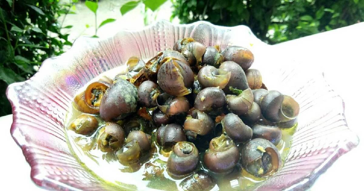 Pro Kontra Keong Sawah Menjadi Alternative Pengganti Daging Sapi