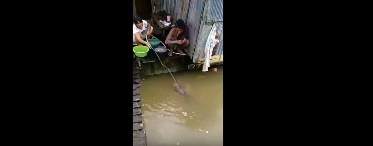 Emak Ini Nyuci Sayur Ditemenin Buaya, Woles Aja Lho Gan!