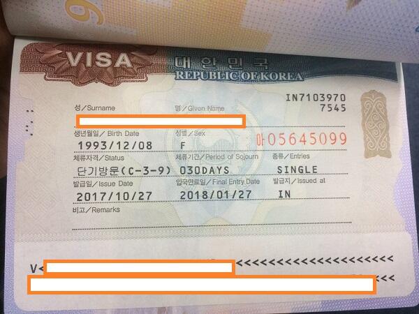 Panduan Urus Visa Korea Selatan Sendiri Tanpa Travel