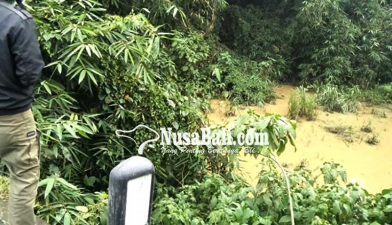 Kotoran Babi Menggenang di Jurang
