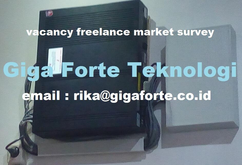 lowongan freelance surveyor untuk melakukan market survey Bandung