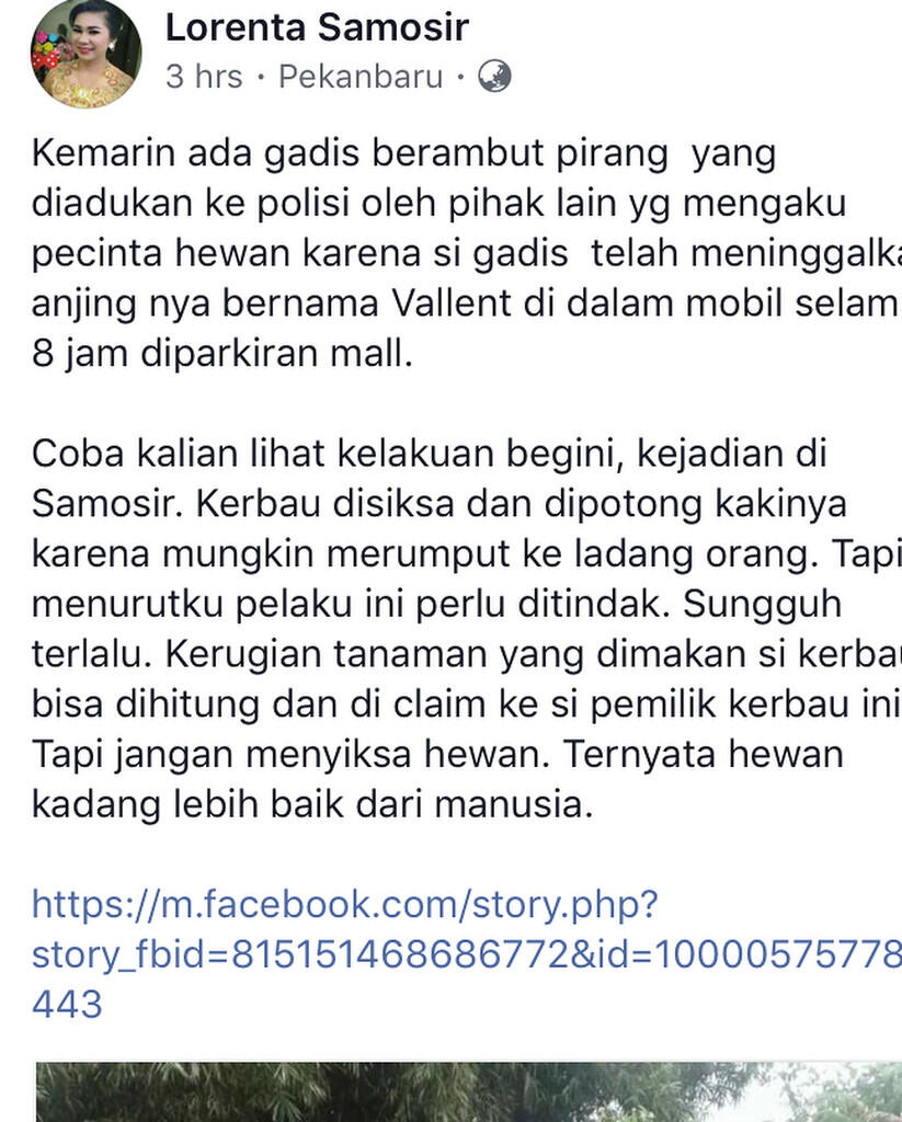 Hati-Hati Gan, Jangan Pernah Menelantarkan Atau Menyiksa Hewan, Ini Ganjarannya!