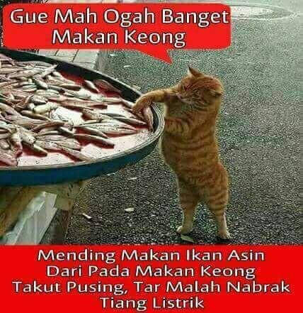 meme makan keong dari medsos